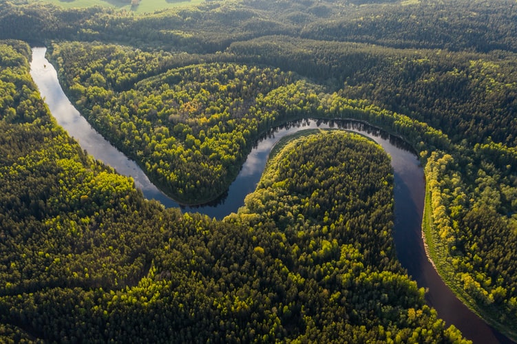 amazon rainforest facts