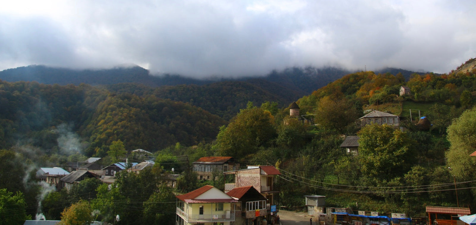 Planting Trees and Growing Community in Armenia
