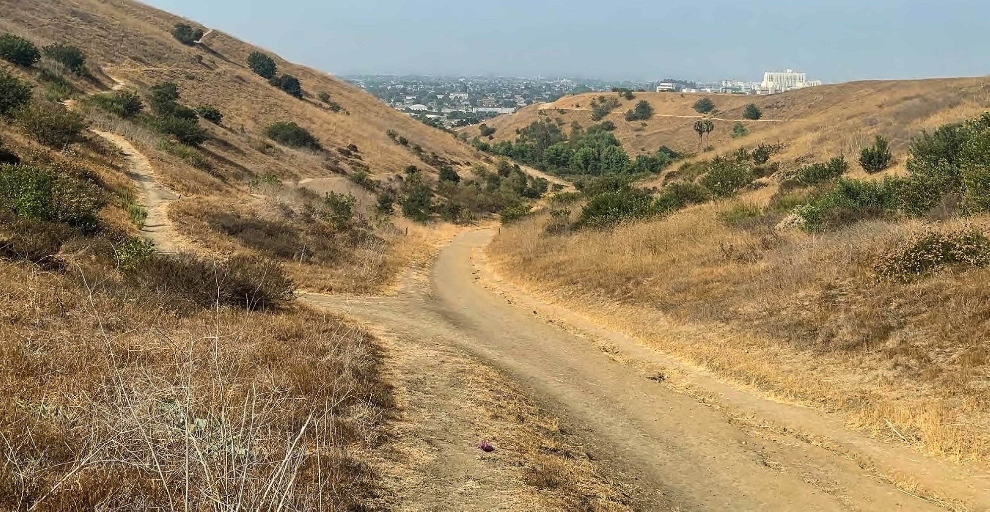 Increasing Wildfire Resilience at LA’s Ascot Hills Park, a Critical Urban Greenspace