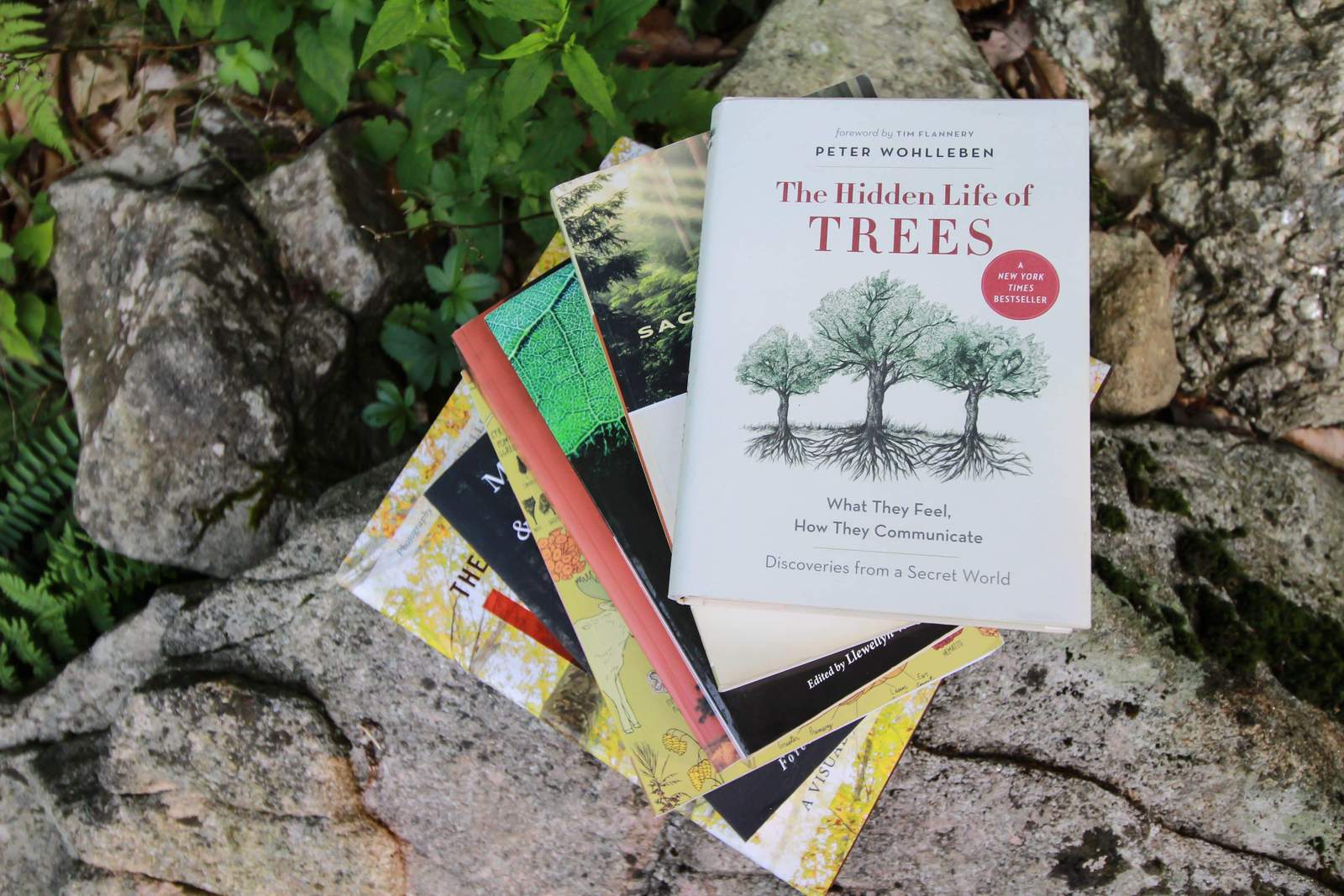 24 Best Books About Nature and Trees - One Tree Planted