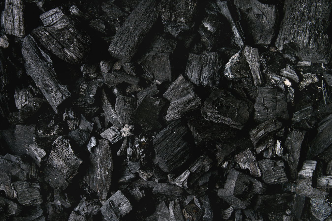 What is Biochar and How Can It Help the Environment?
