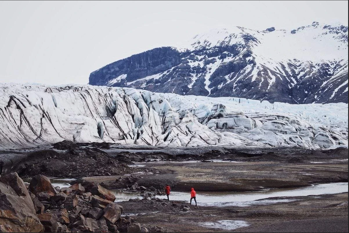 Global Warming Vs. Climate Change | One Tree Planted