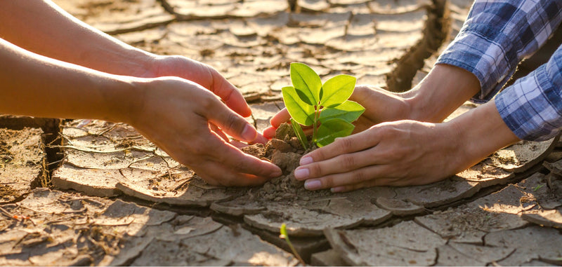 How to Combat Climate Change Denial With Facts About Climate Change ...
