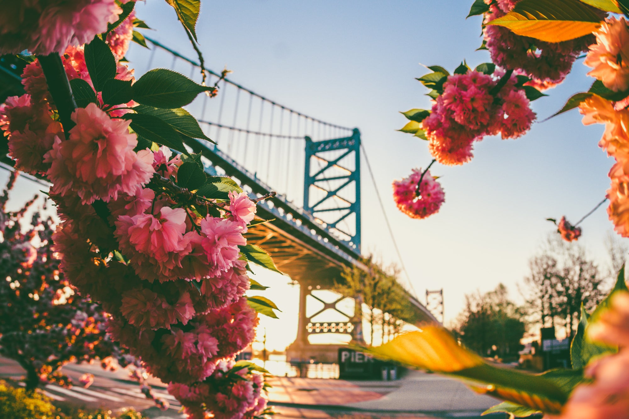 Bridge and flowers in Philadelphia