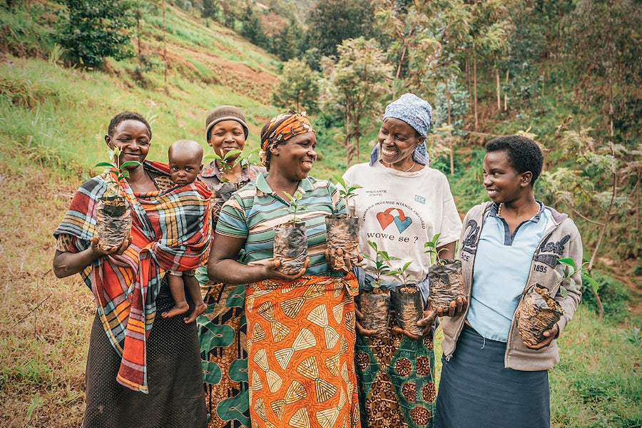 women rwanda reforestation