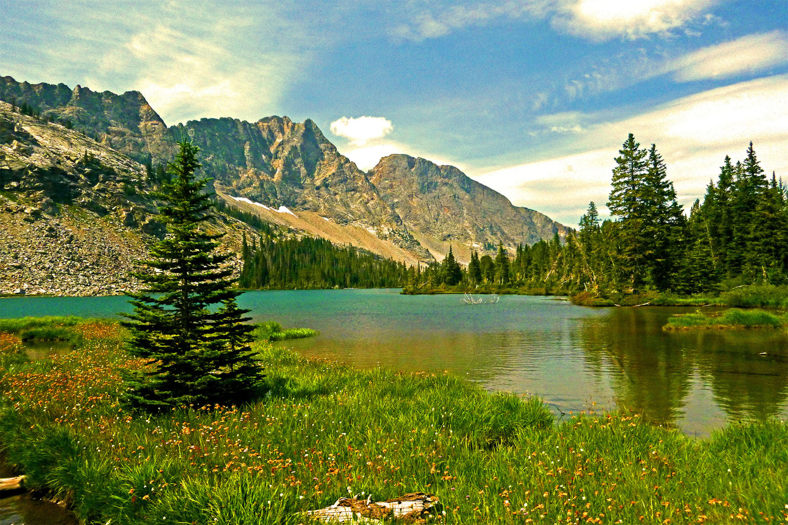 forest lake mountain landscape