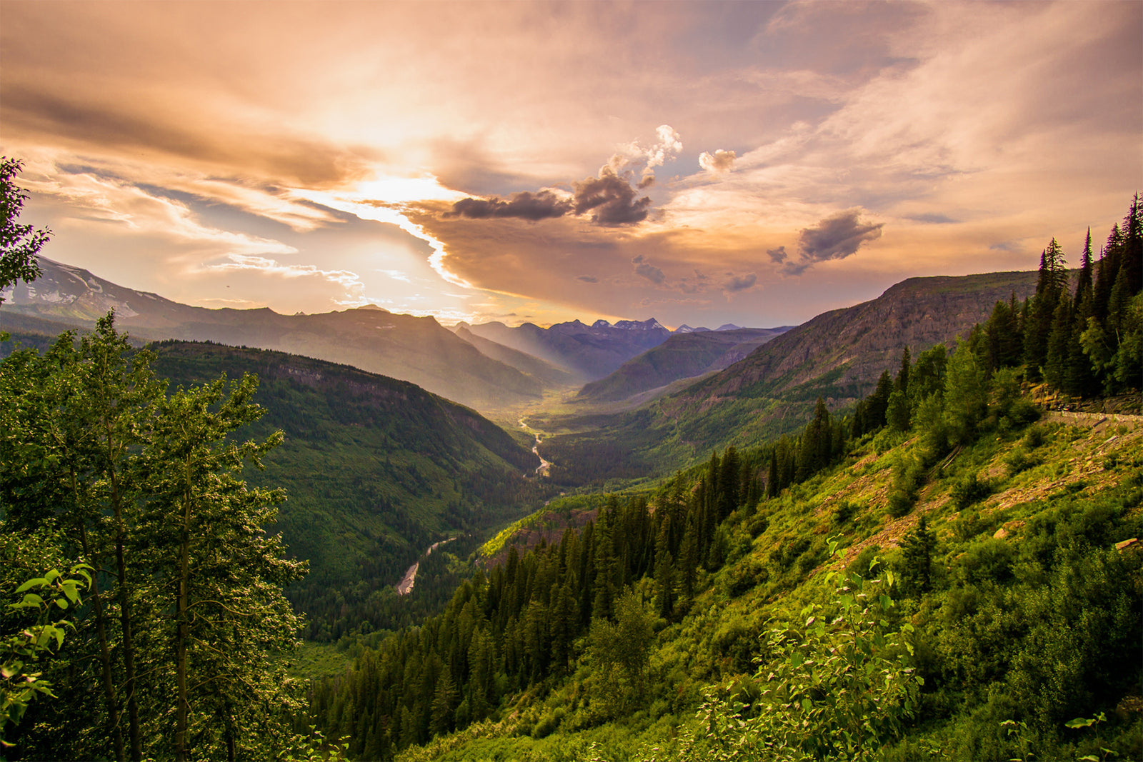 environmental charities 