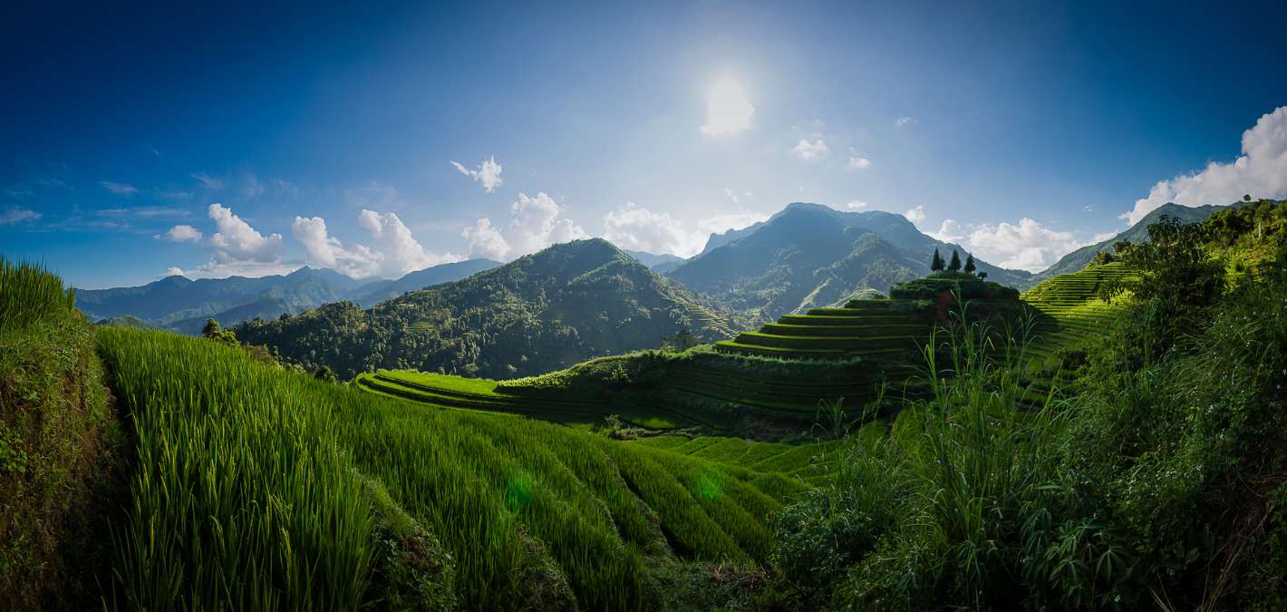 Good News! 6 Positive Environmental Stories from April 2024