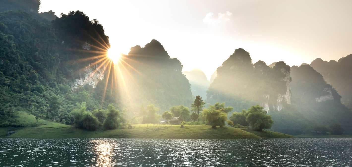 September Environment Good News! 5 Positive Environmental Stories from September - One Tree ...