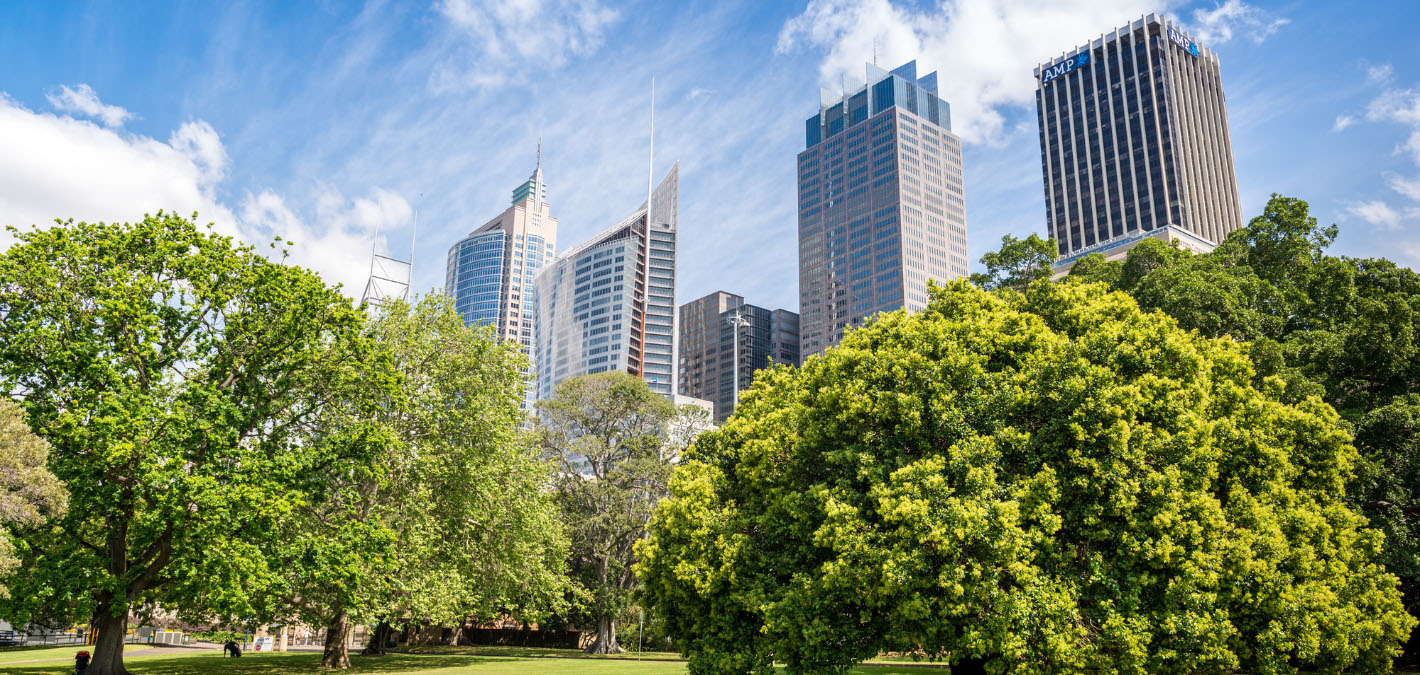 Green Infrastructure: Why Is It Important? - One Tree Planted