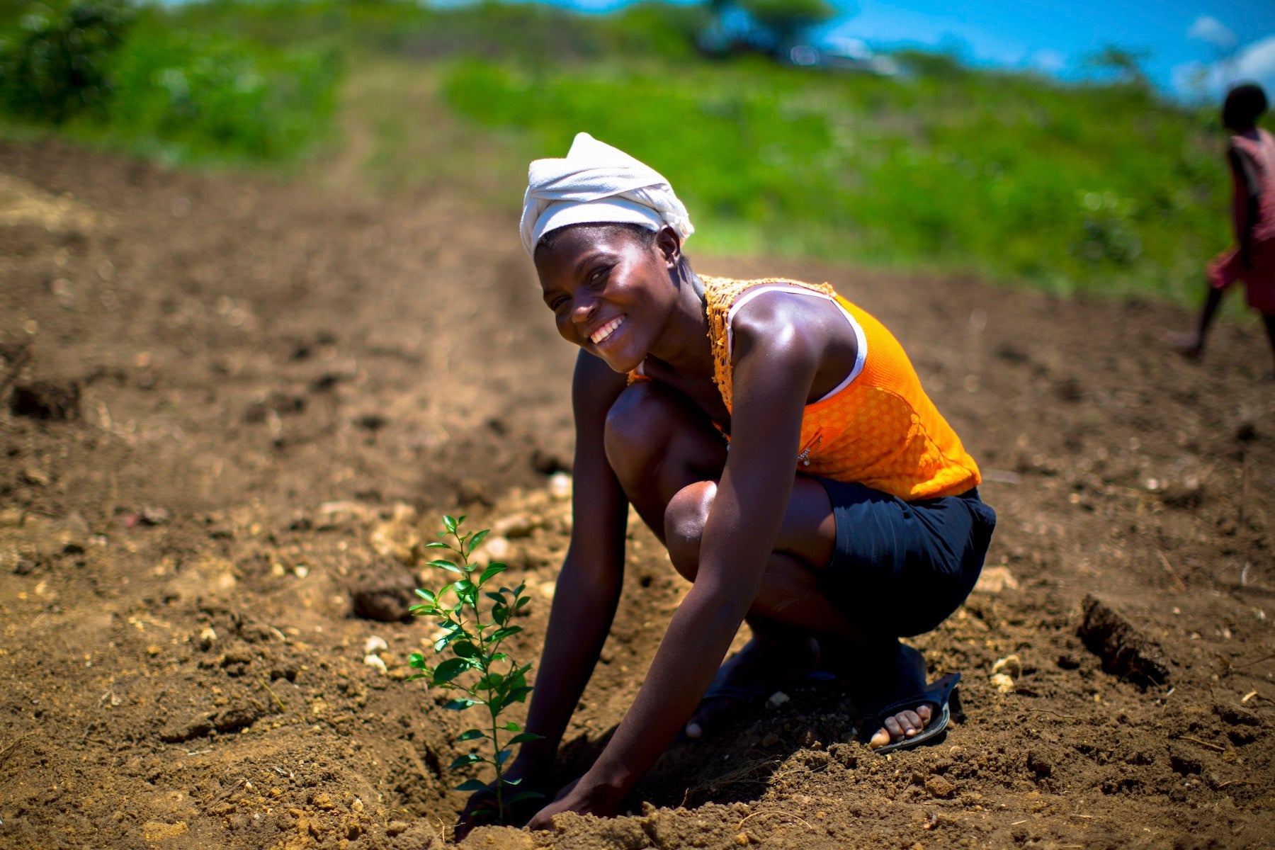 haiti reforestation tree planter