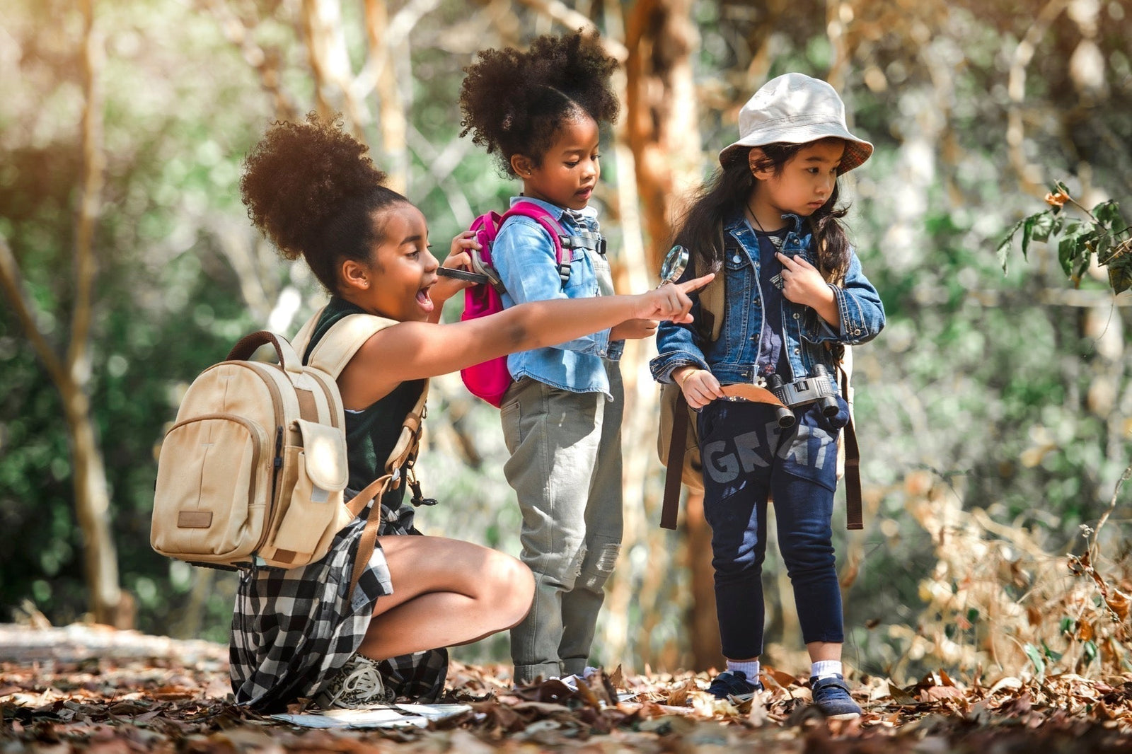 29 Fascinating Facts About Trees for Kids