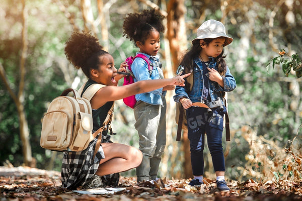 29 Fascinating Facts About Trees for Kids - One Tree Planted