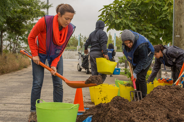 6 Benefits Of Urban Forestry - One Tree Planted