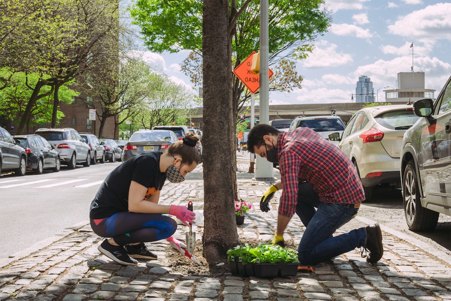 3 Ways Planting Trees Helps to Reduce The Urban Heat Island Effect