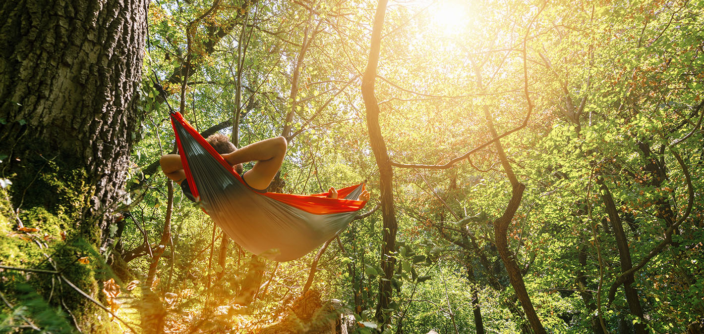 person laying in red hammock nature trees 