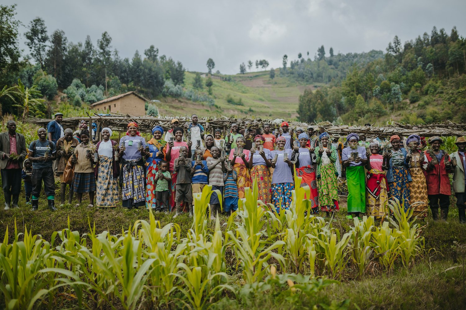 How Planting Trees Helps the UN Sustainable Development Goals ... How Planting Trees Helps the UN Sustainable Development Goals ...