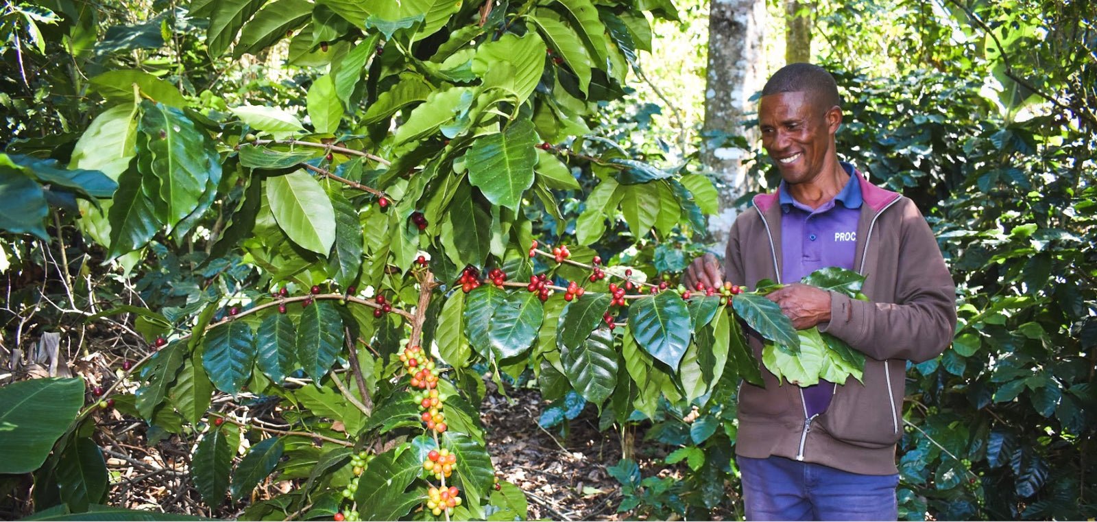 Restoring Watersheds and Impacting Communities in the Dominican Republic