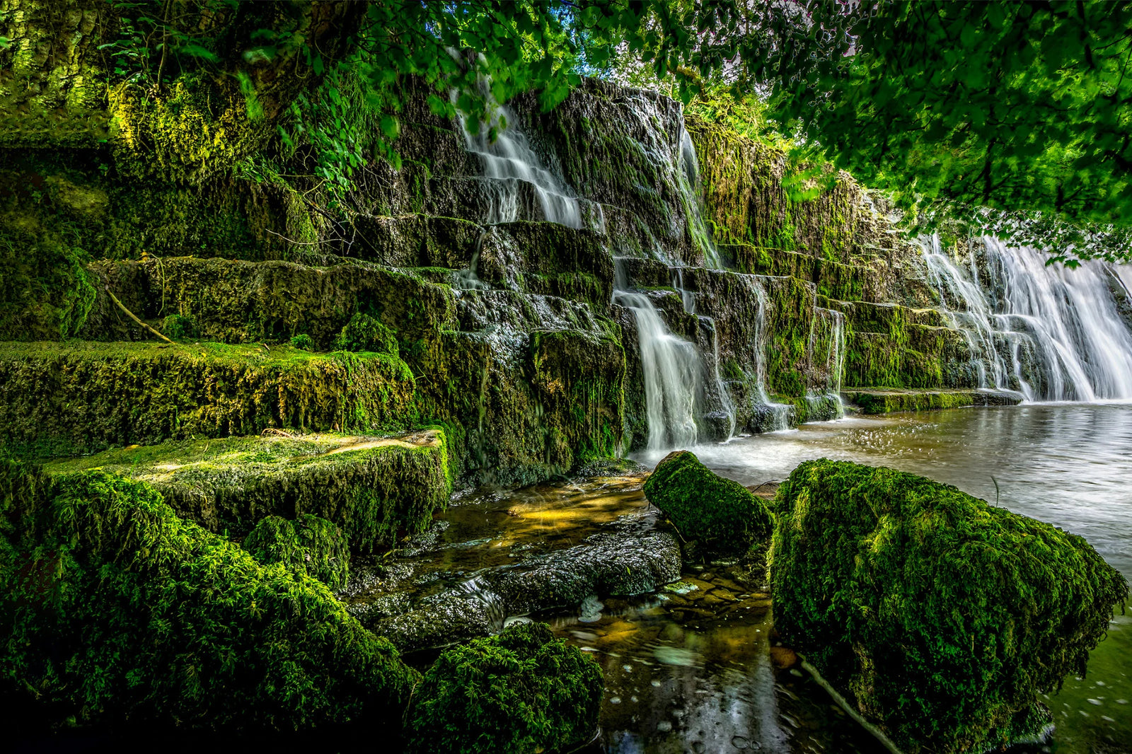 World Environment Day