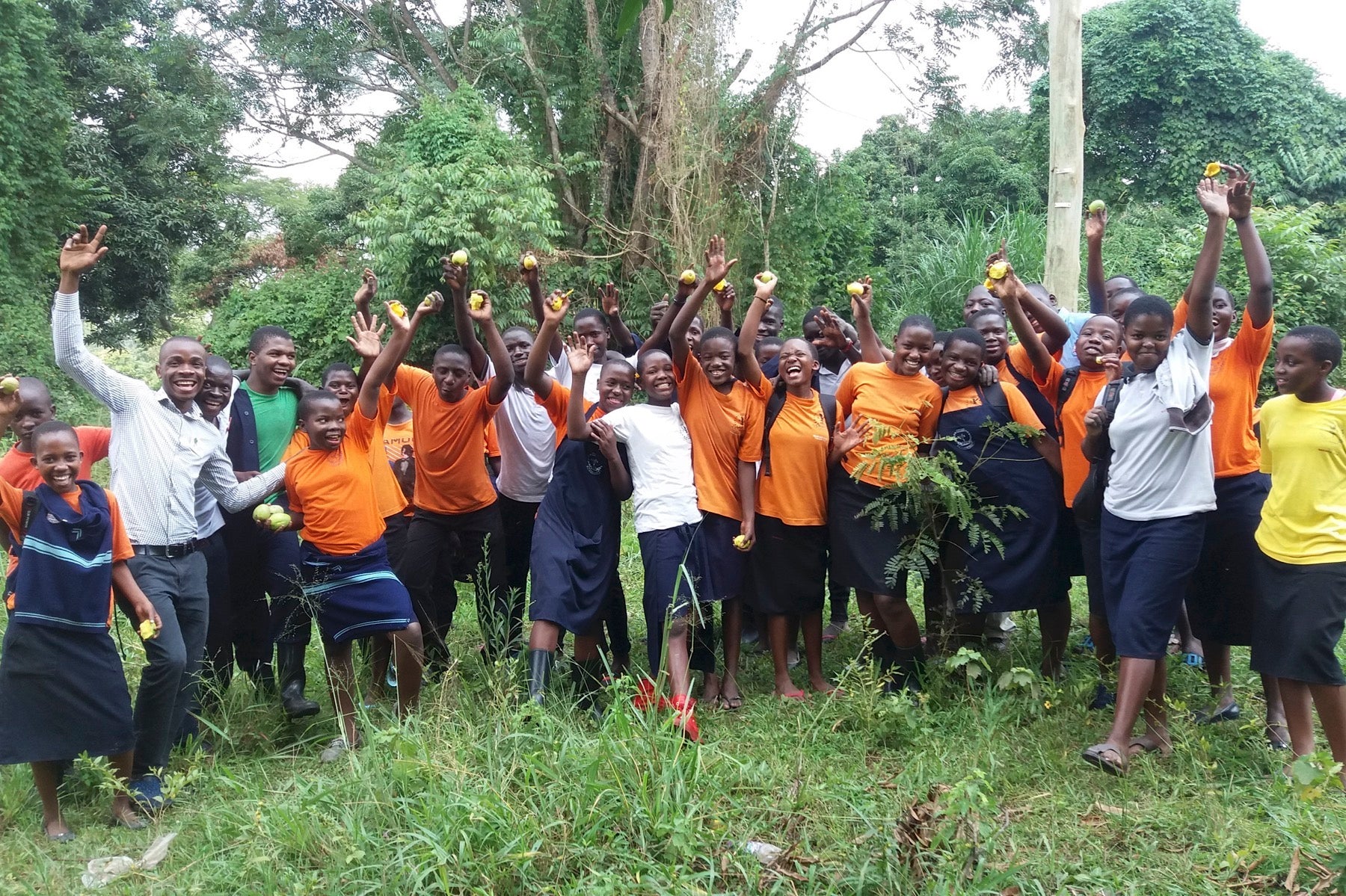 uganda reforestation agroforestry group