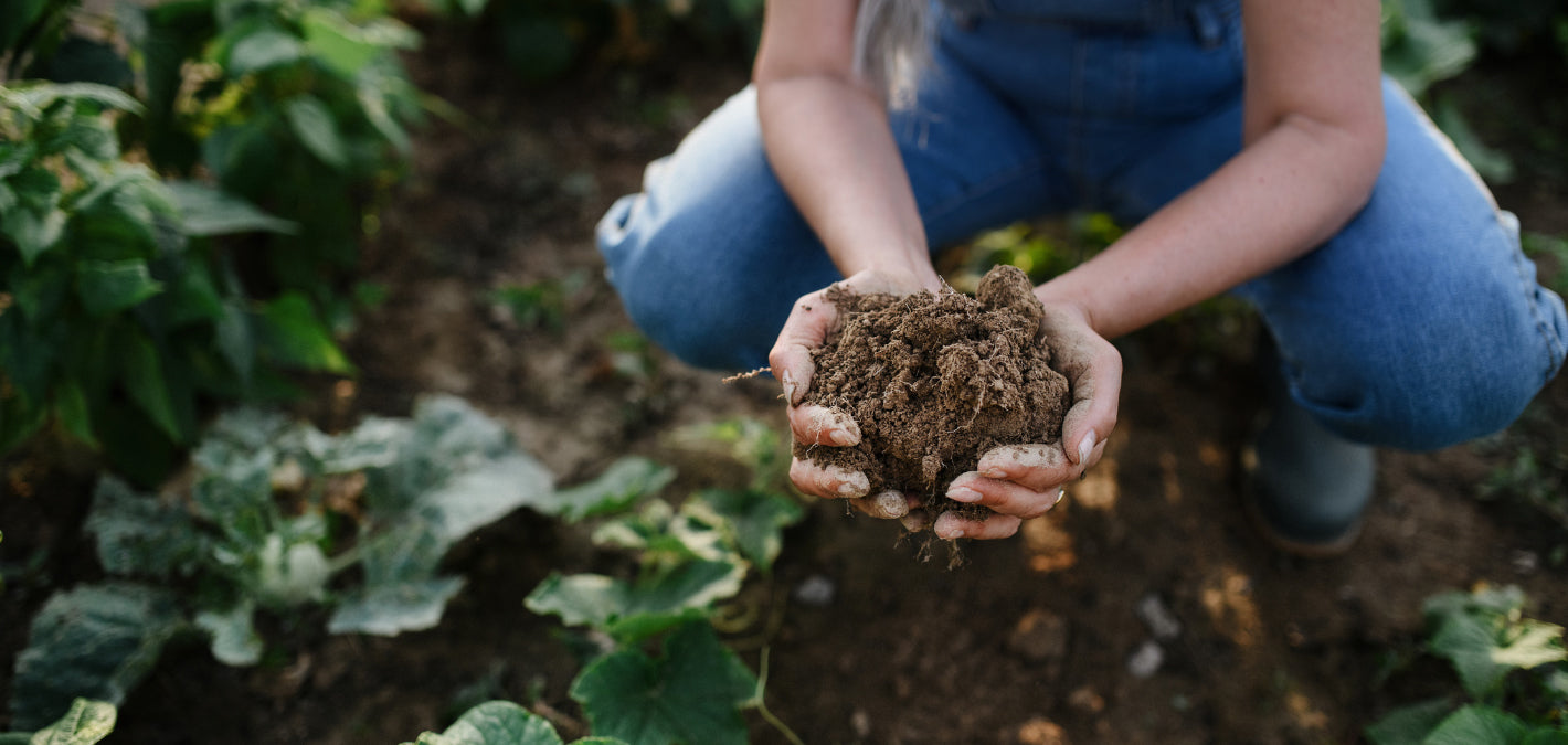 woman cupping soil in hands farm