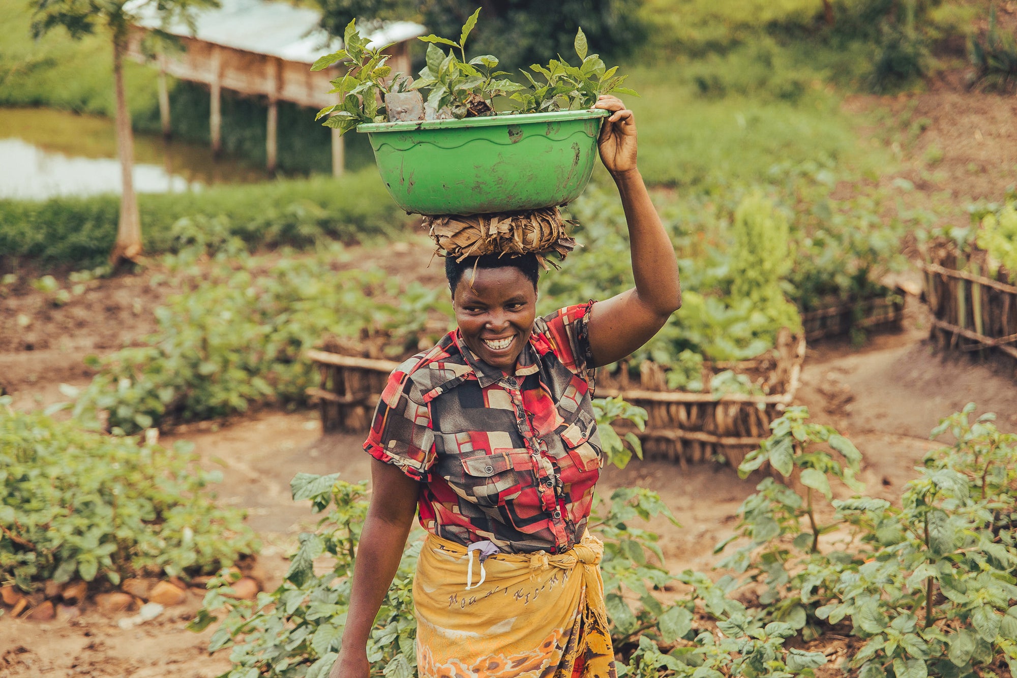 rwanda woman sustainable agroforestry