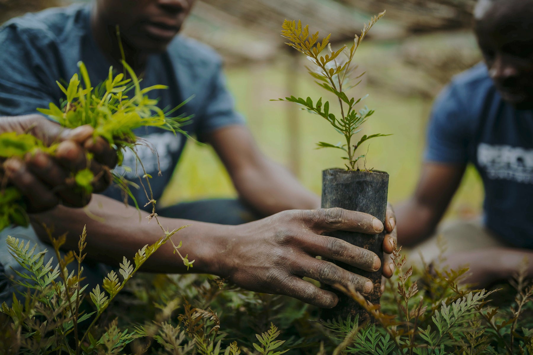 What is Corporate Social Responsibility | One Tree Planted