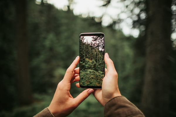 11 Nature Photography Tips for Mobile - One Tree Planted