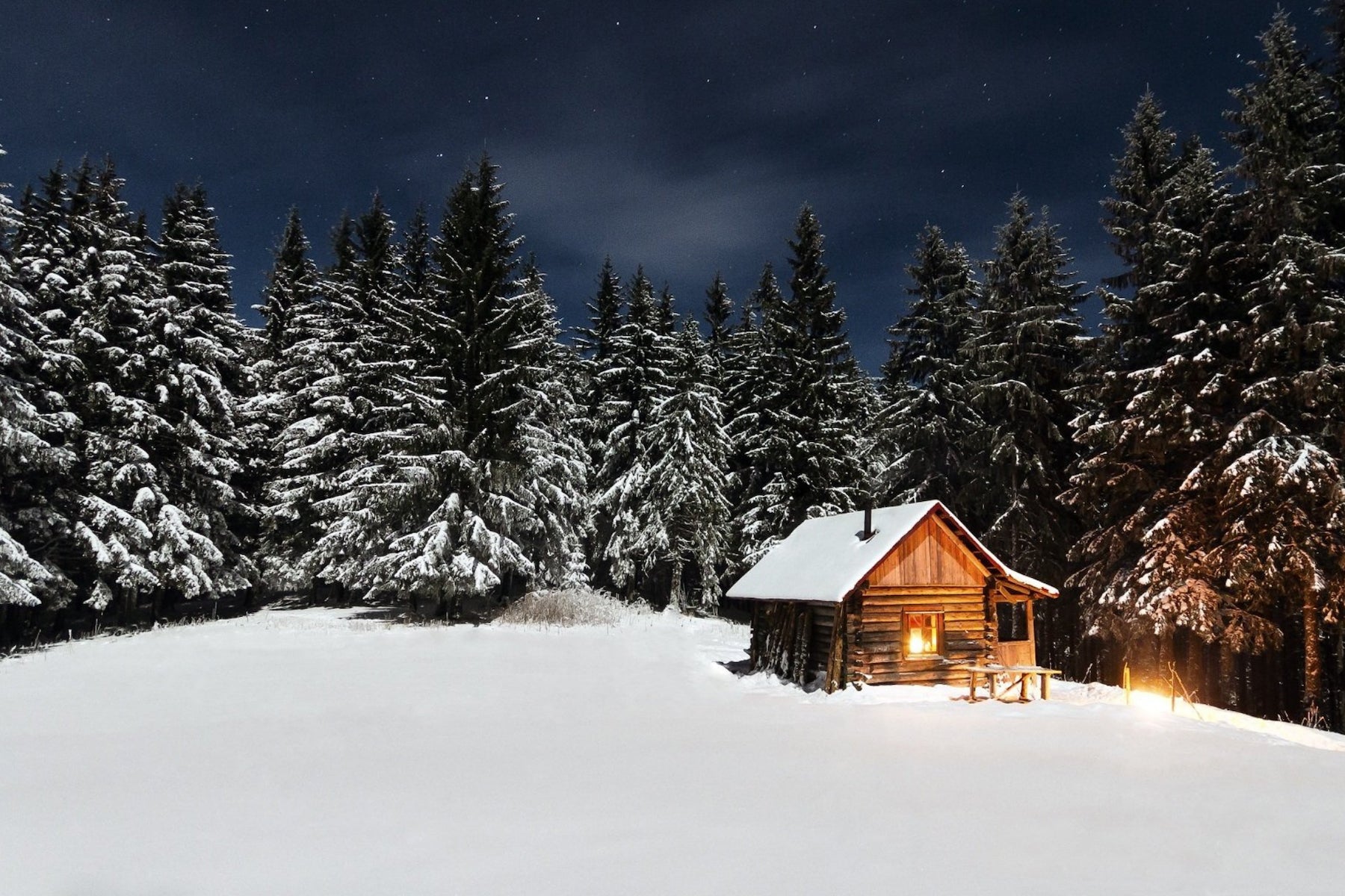 cozy cabin evergreen forest winter dark sky