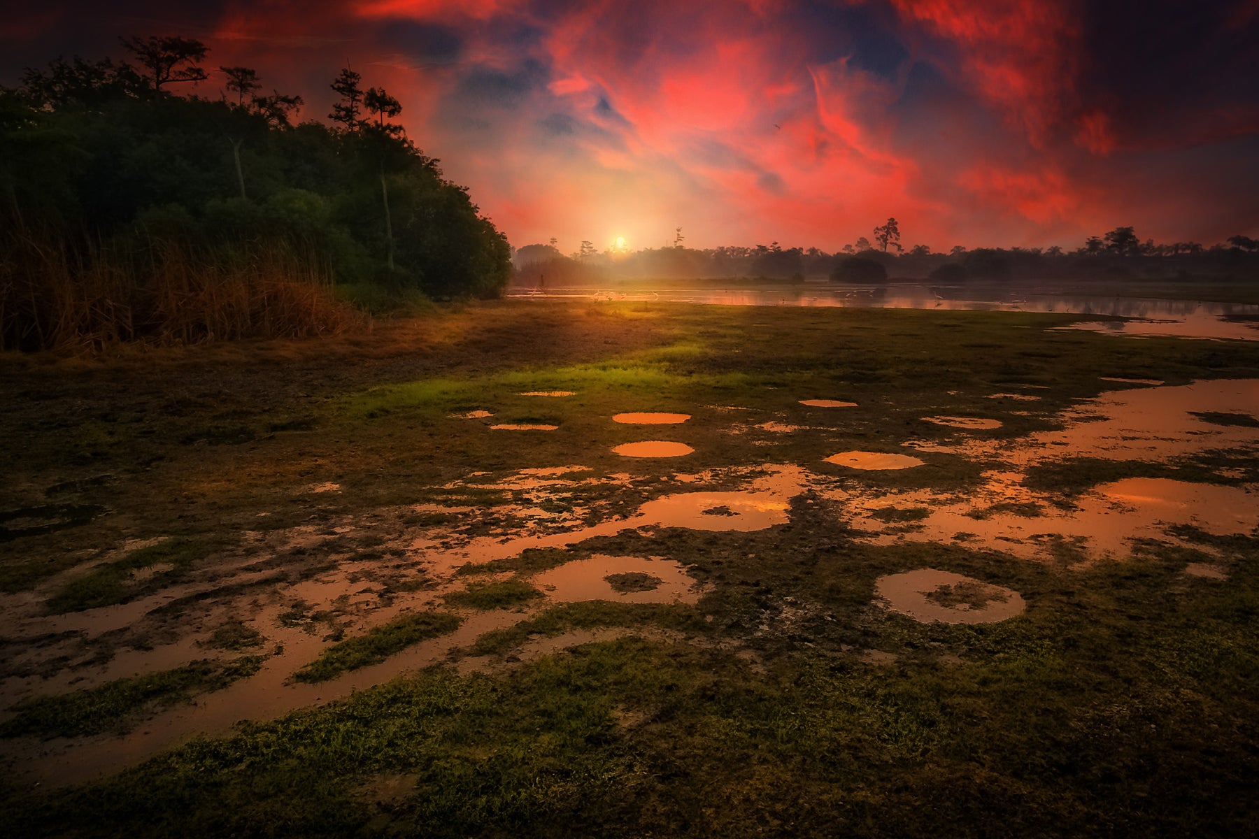 wetland sunset