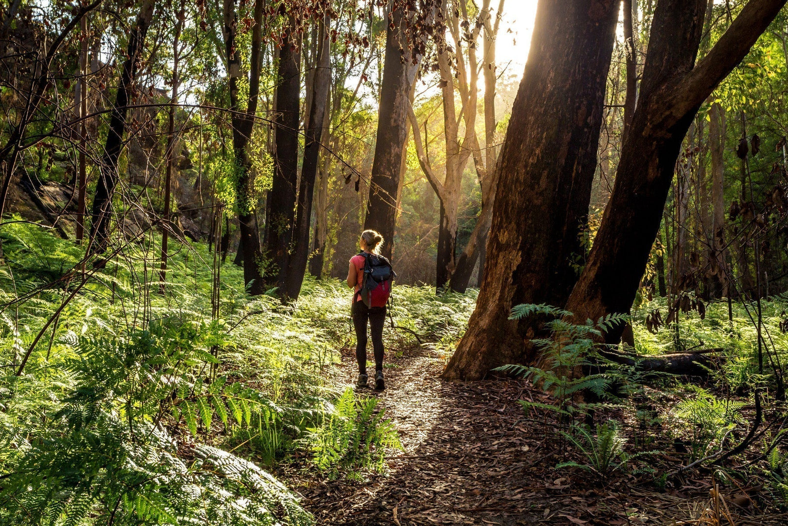 woman hiking in forest