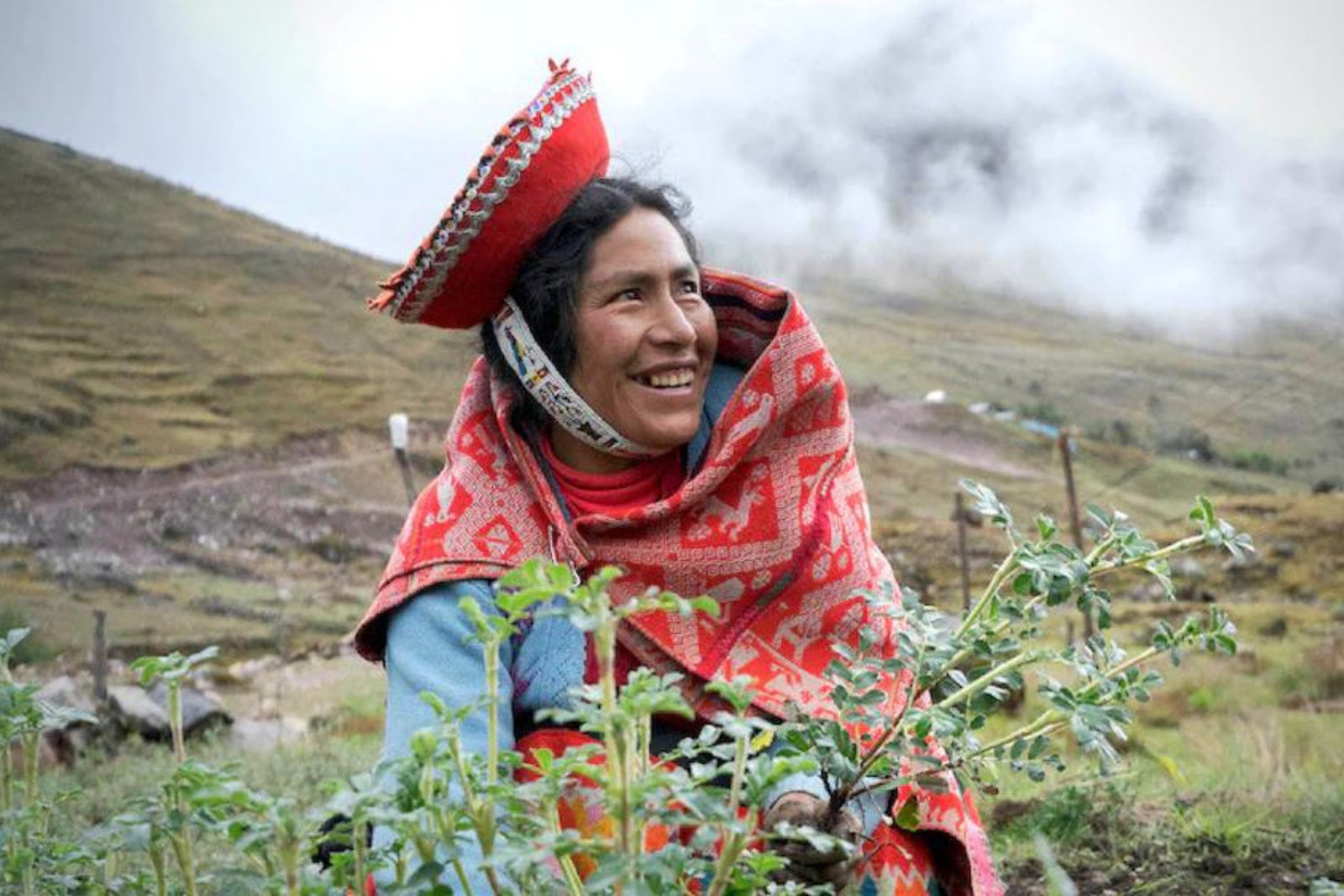 5 Ways Planting Trees Helps Gender Equality - One Tree Planted