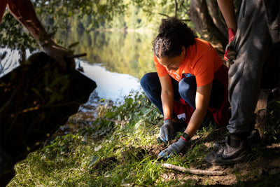 Environmental Justice: What it is and How Planting Trees Can Help - One ...