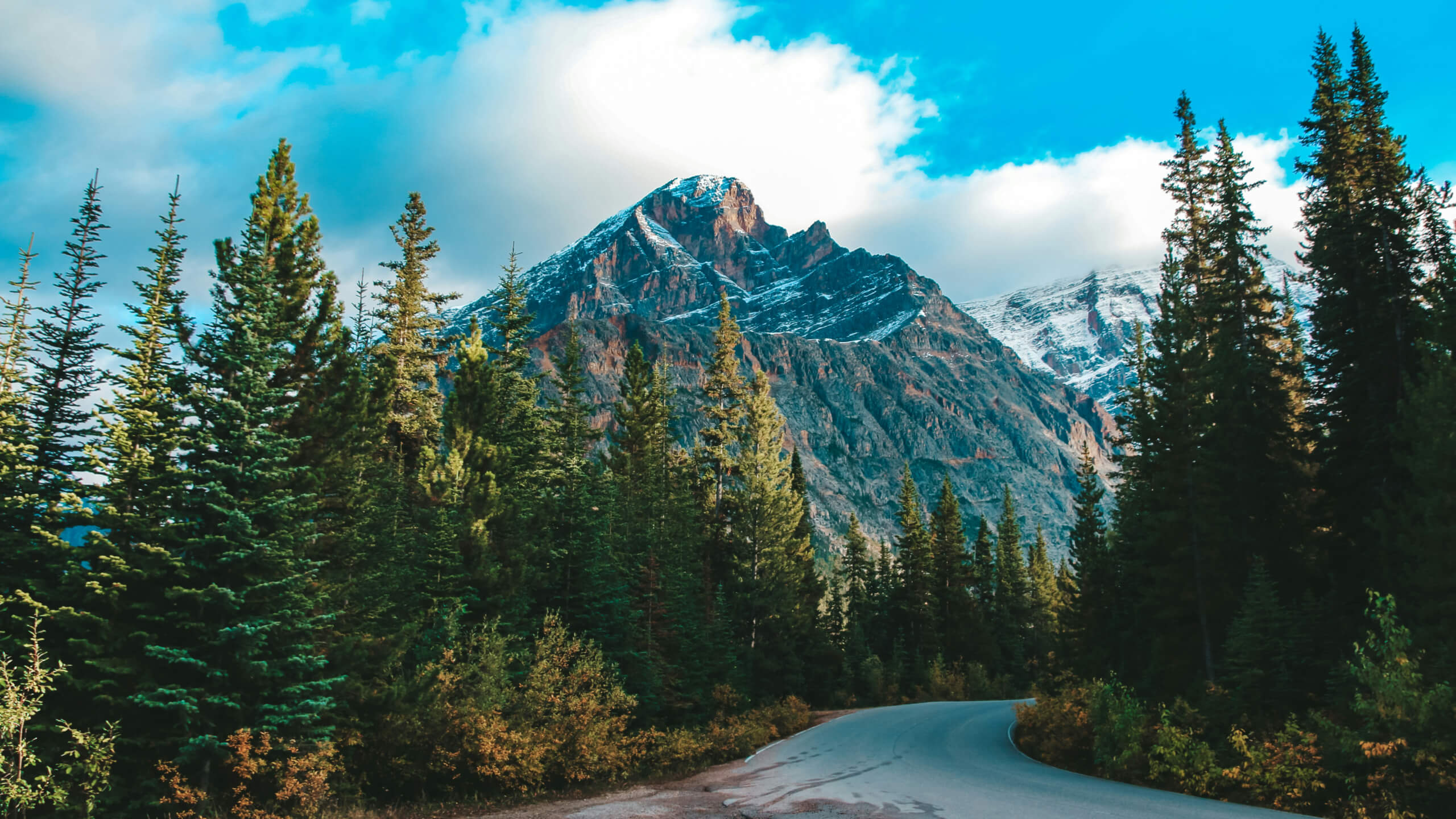 Alberta landscape