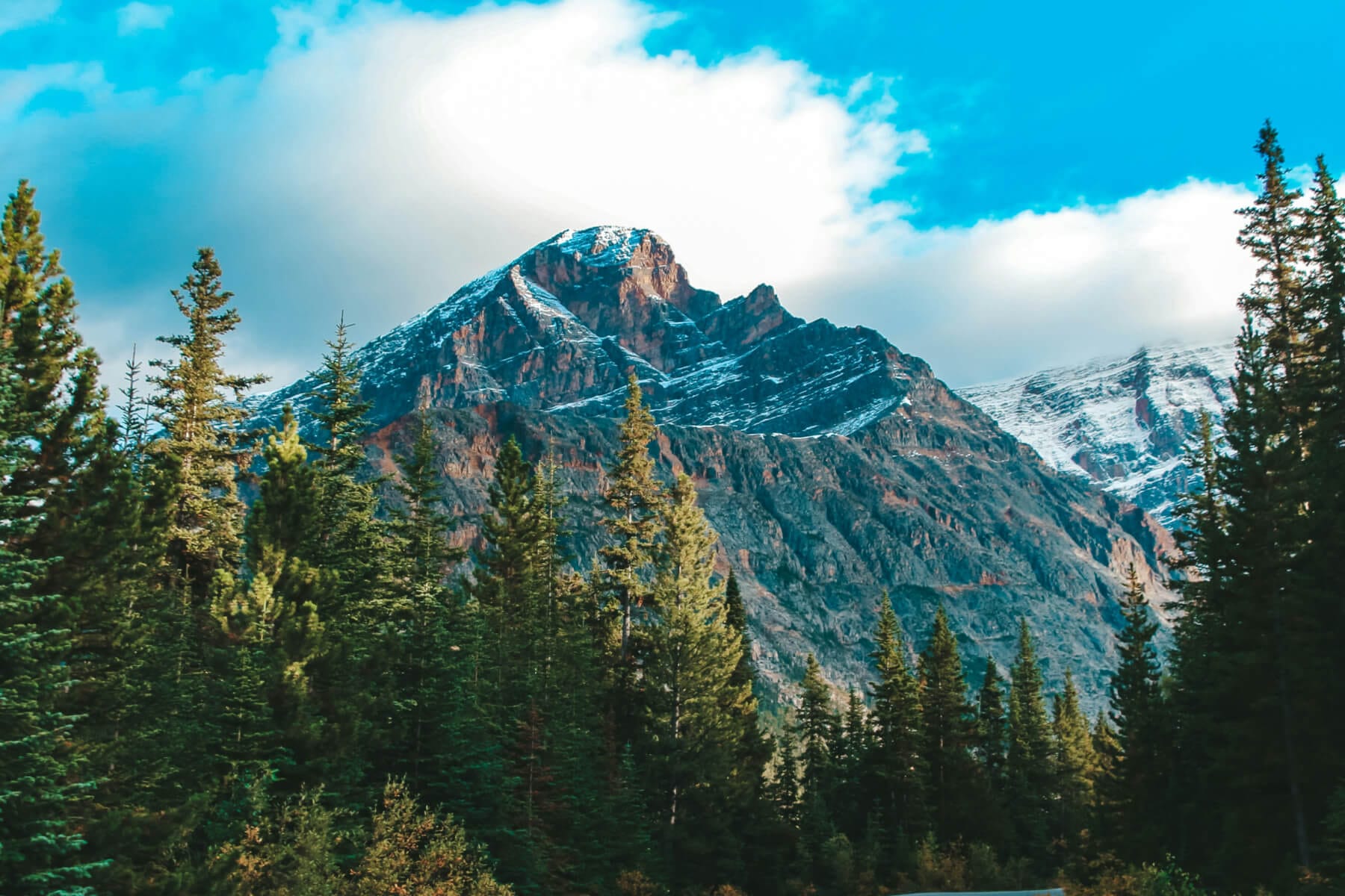 Alberta landscape