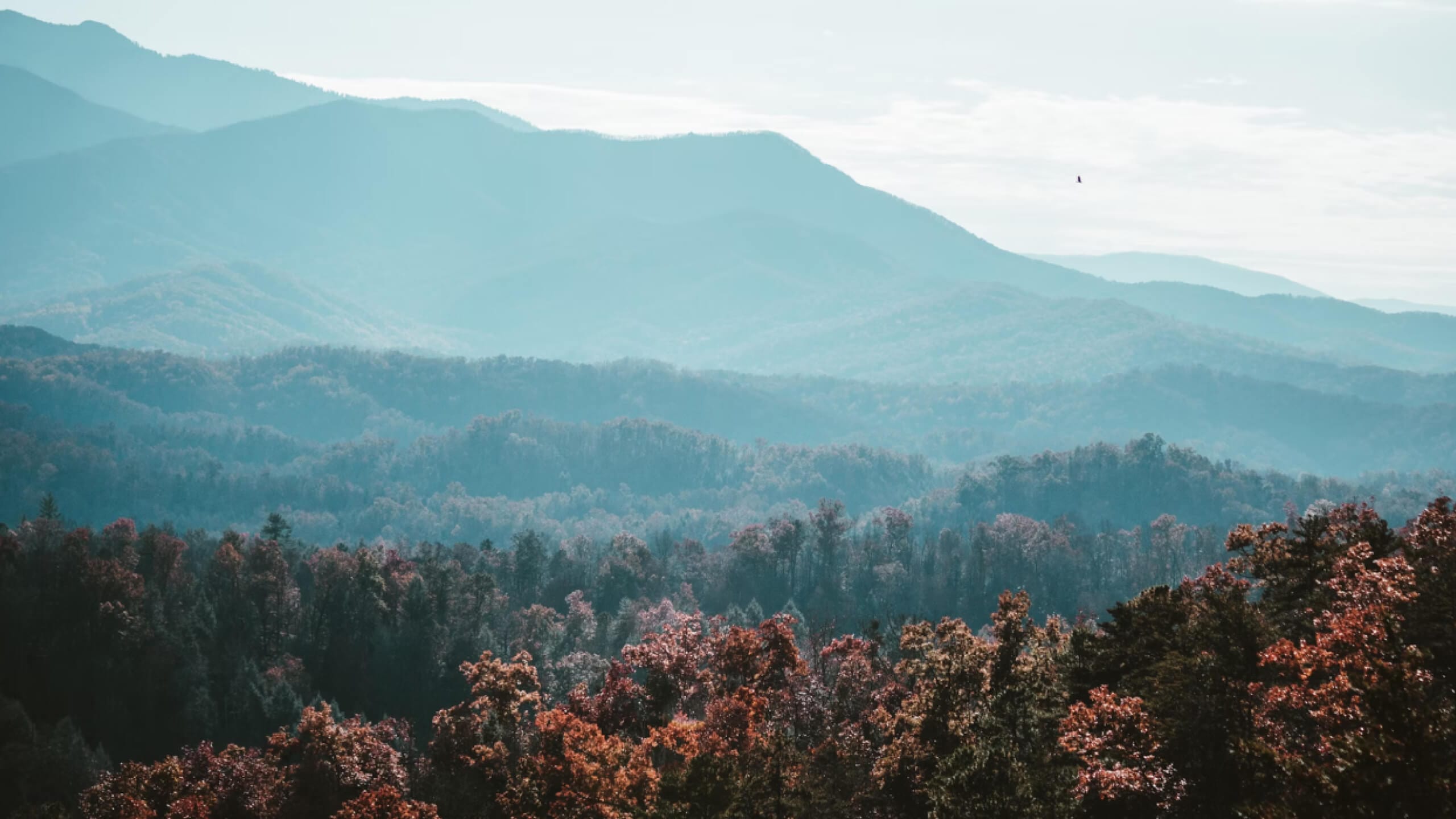 Appalachia mountains landscape