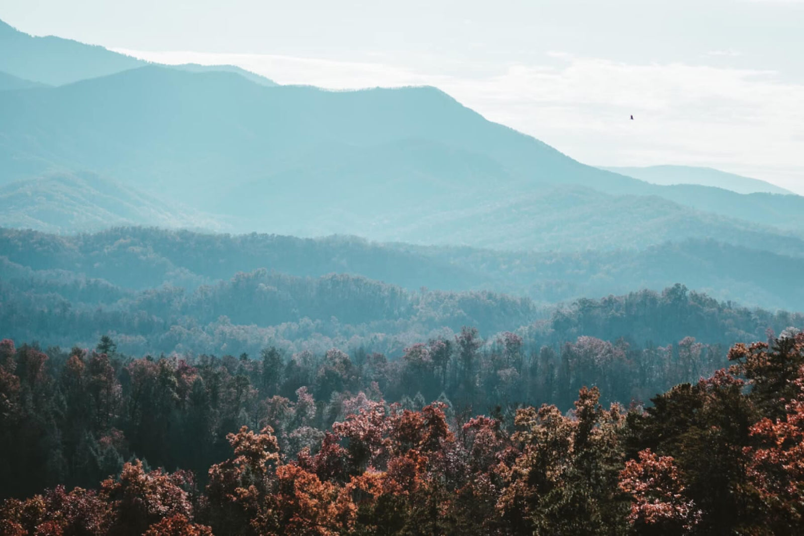 Appalachia mountains landscape