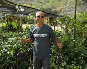 Volunteer wearing Reforestation T-shirt in tree nursery 