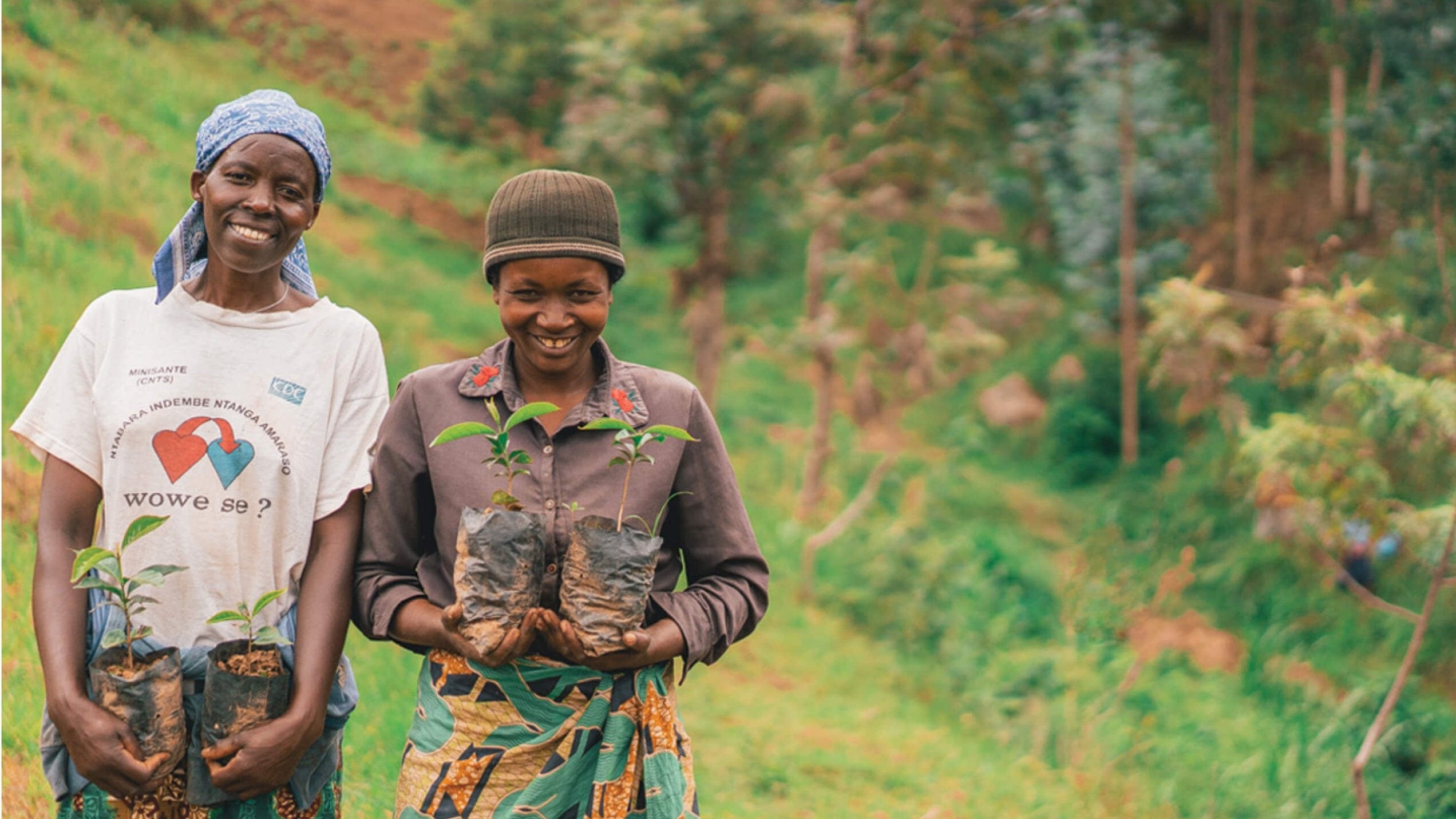 One Tree Community Services Our Work Impacting Community | One Tree Planted