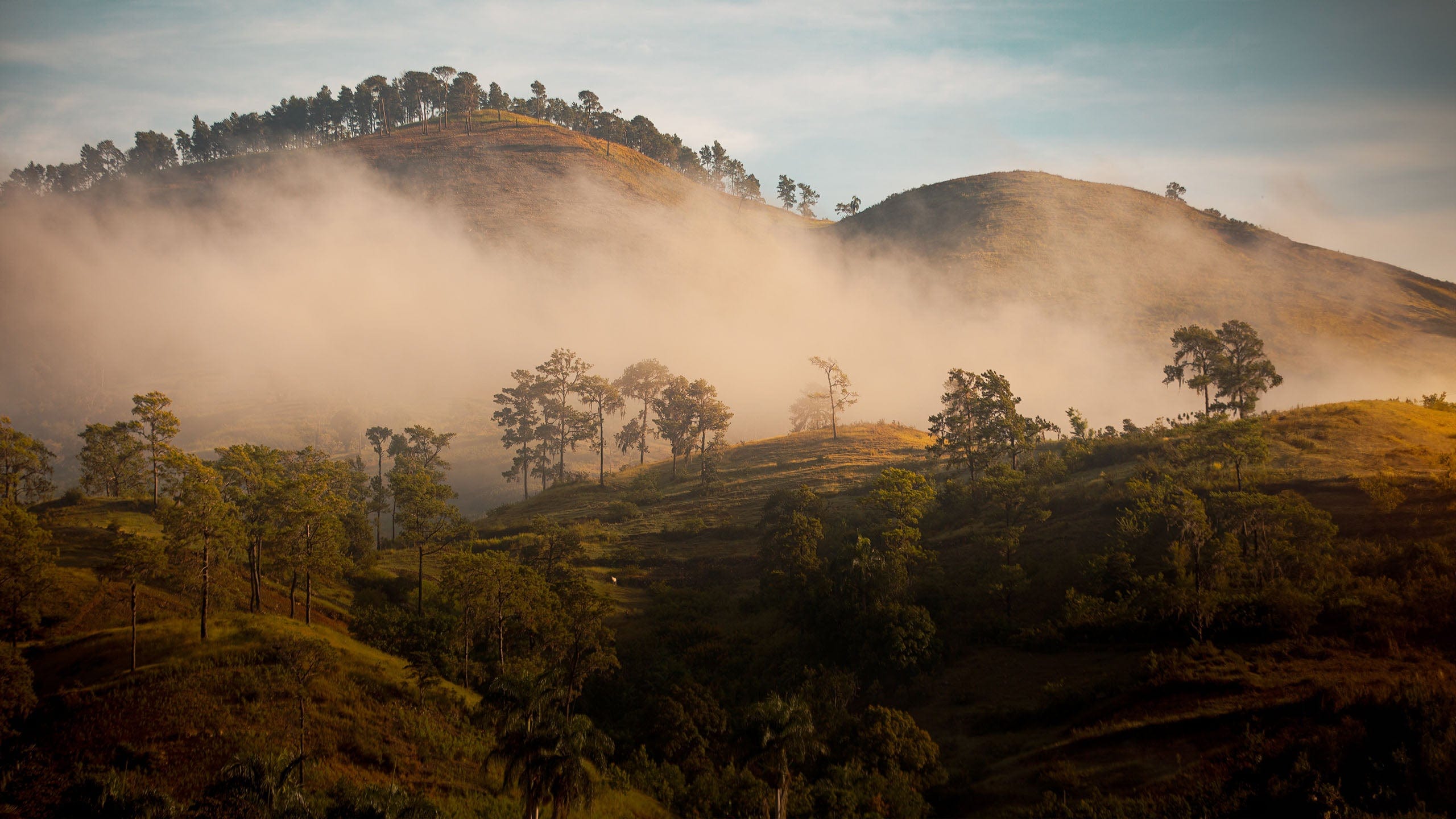 Valley landscapes