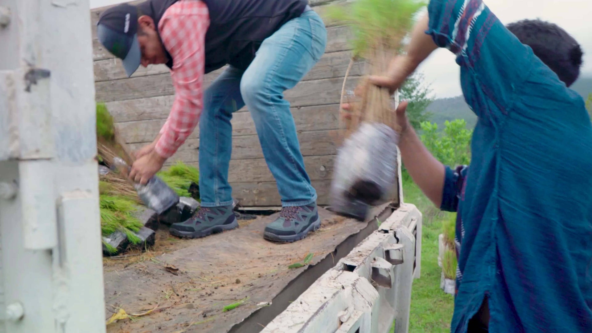 Video background fallback