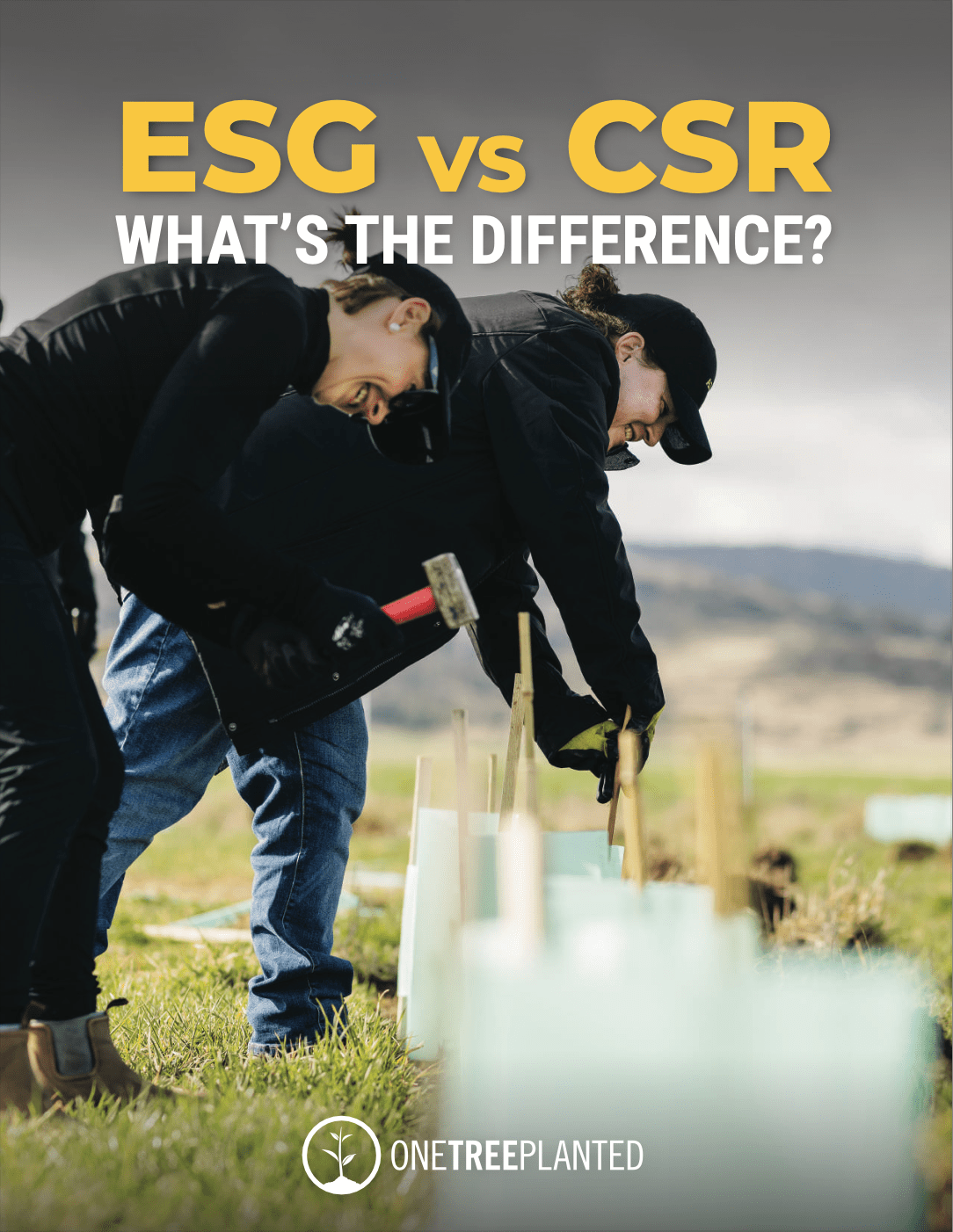 A side-by-side comparison chart showing ESG vs CSR frameworks