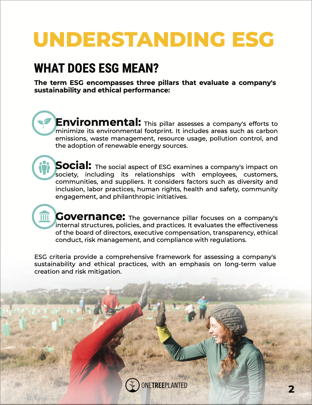 ESG Vs CSR: What Is The Difference? | One Tree Planted