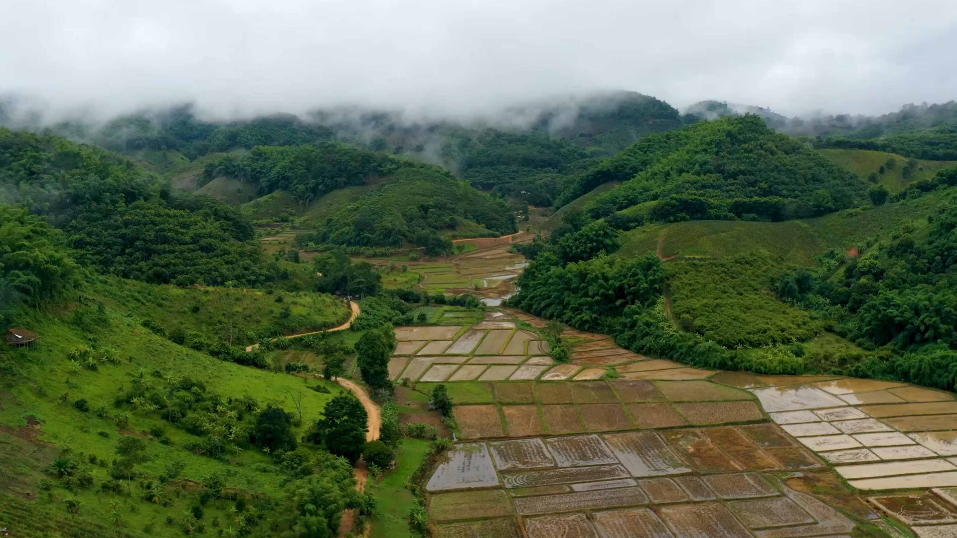 Video background fallback