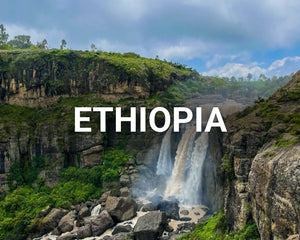 Trees and waterfall in Ethiopia