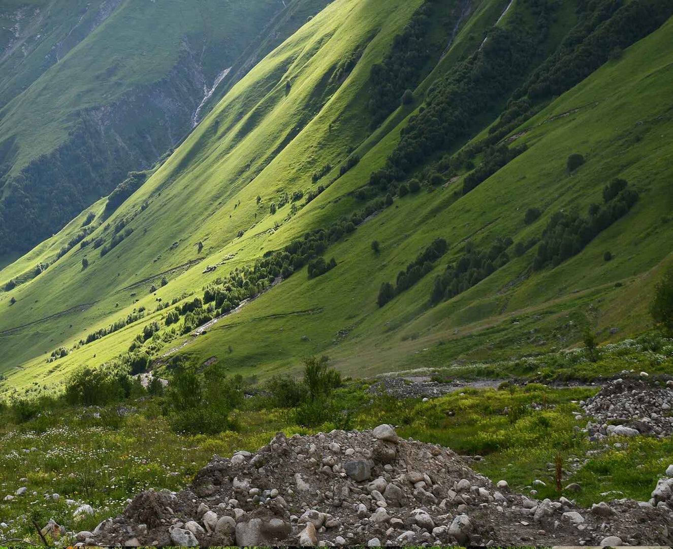Video background fallback