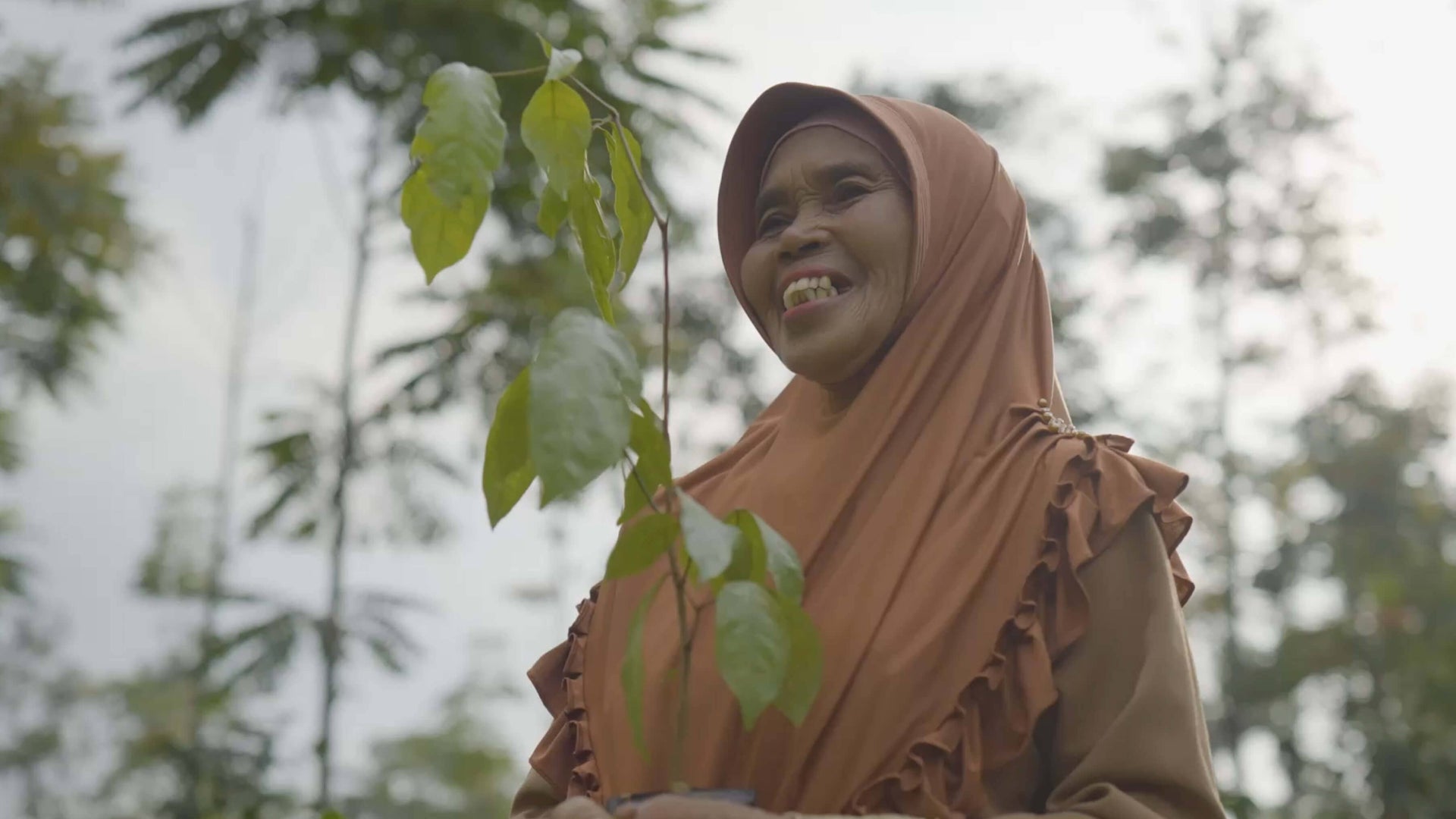 Video background fallback