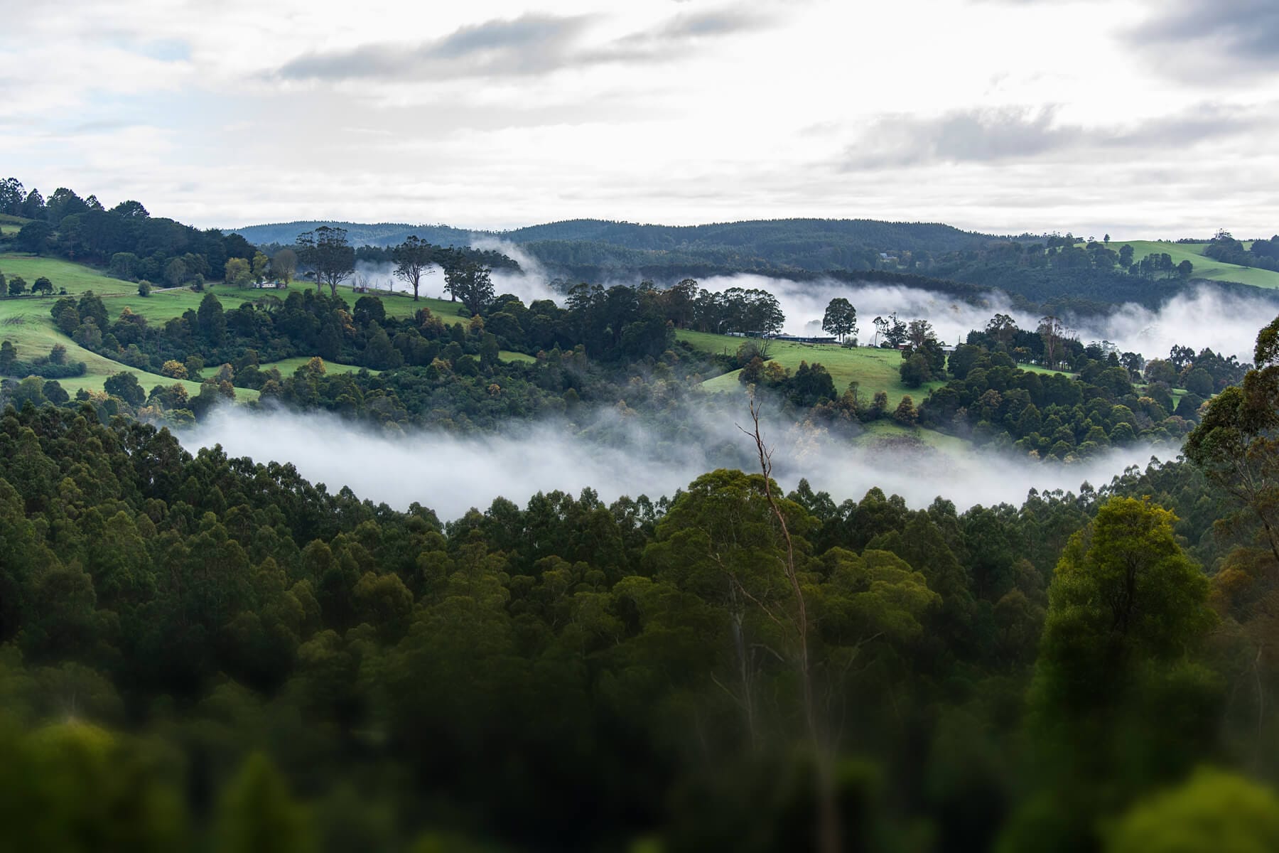 Donate for Giving Tuesday