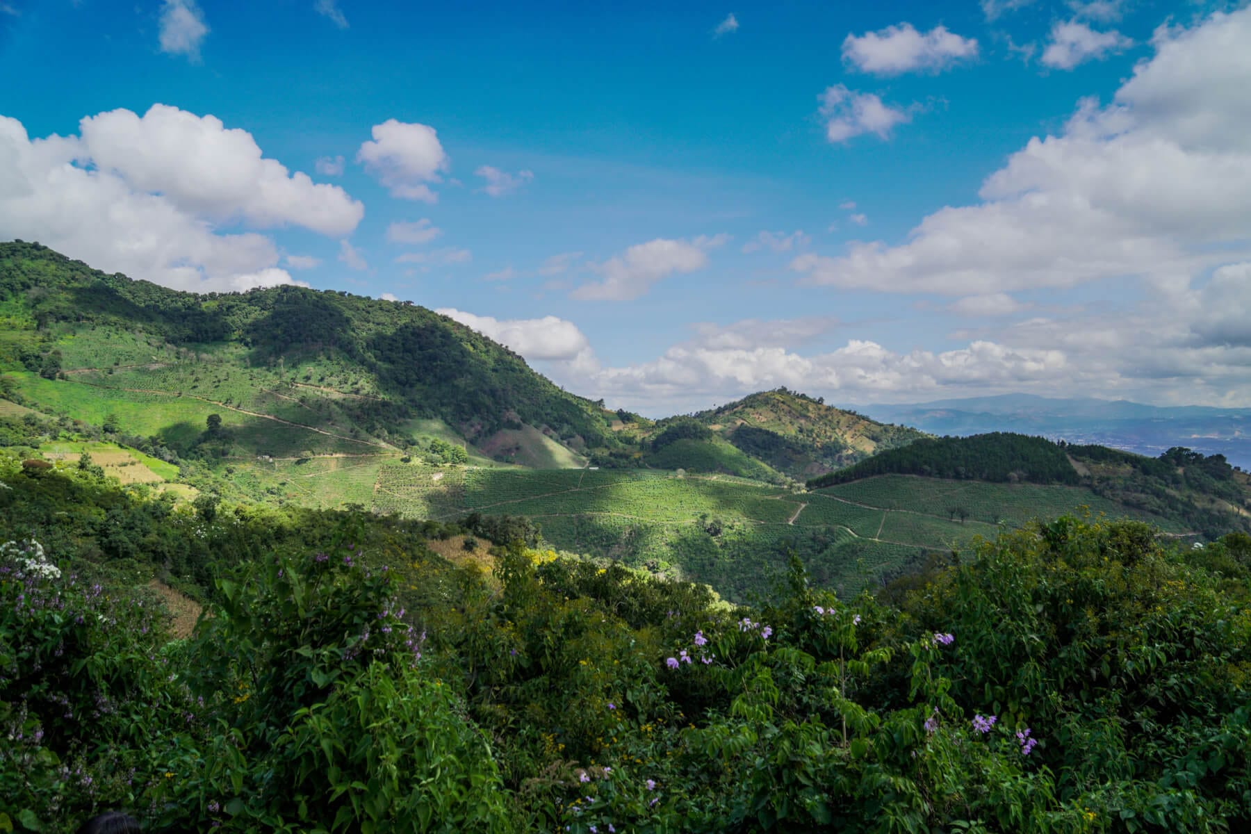 Guatemala valley landscape