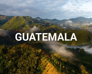 Guatemala landscape mountains and trees